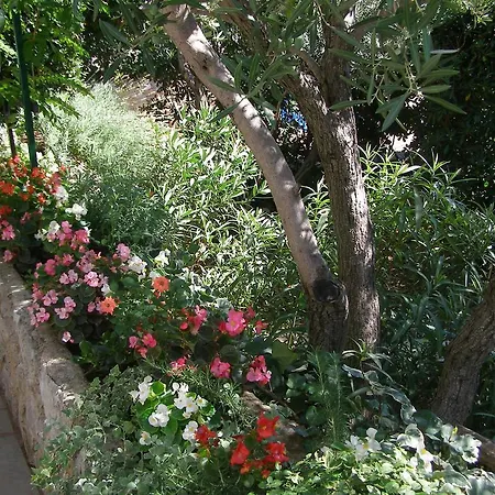 Dunoti Apartament